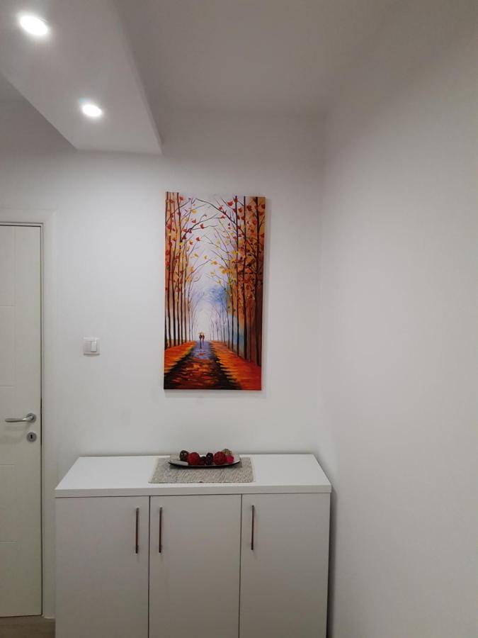 Apartment Gea 18 Νόβι Σαντ Εξωτερικό φωτογραφία